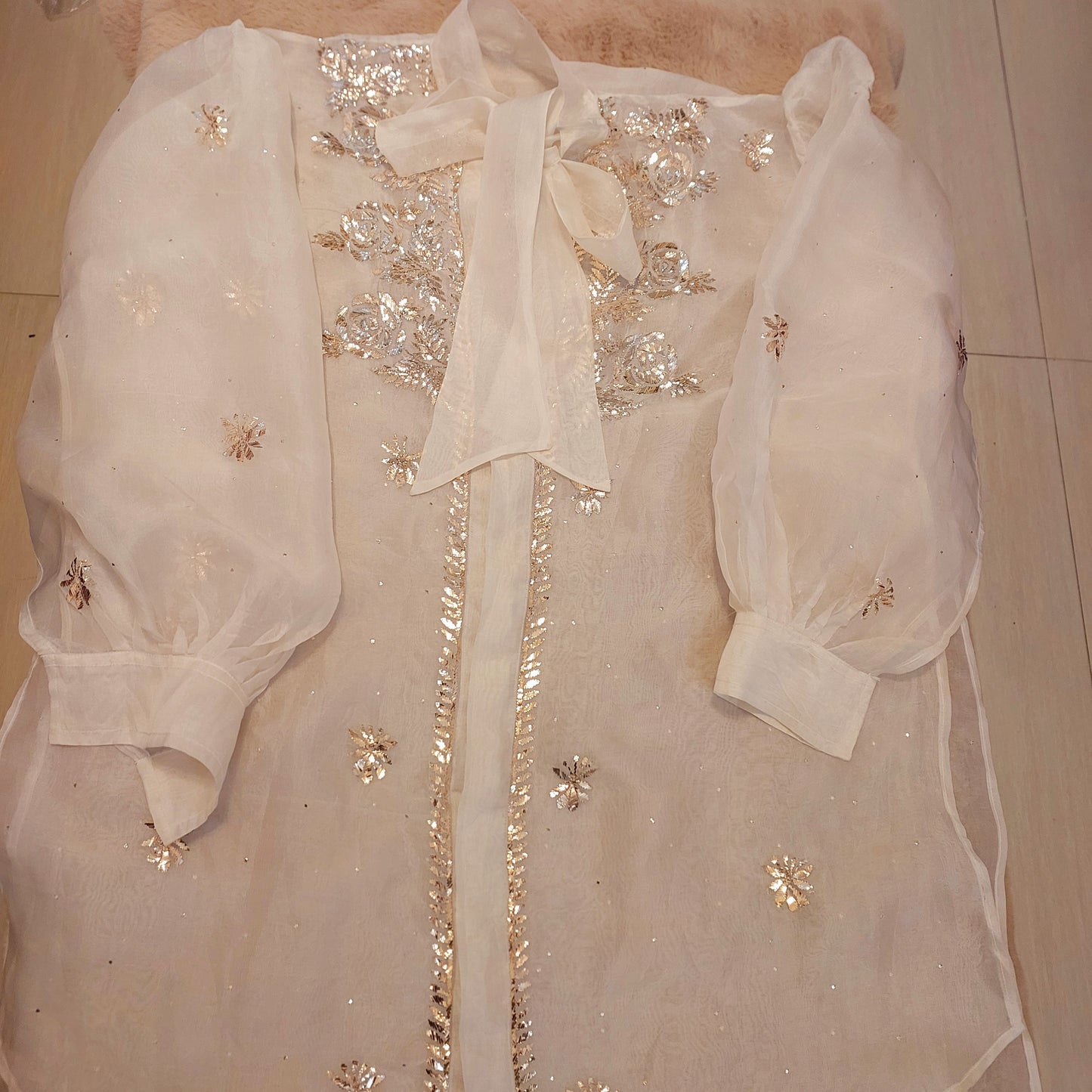 Pure Organza Shirt