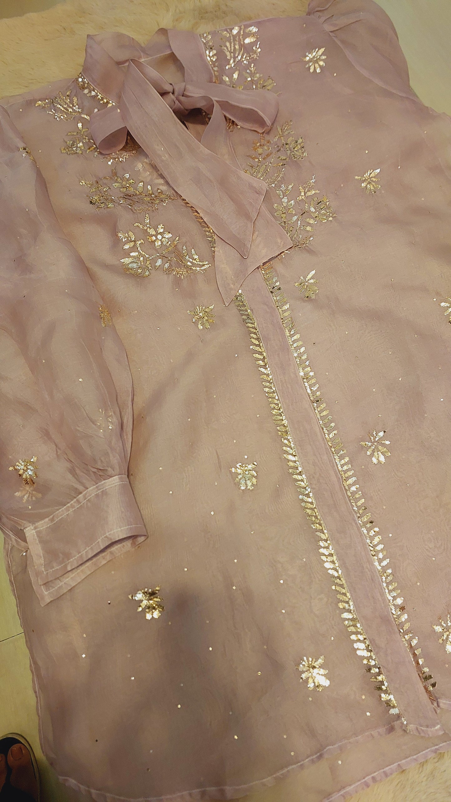 Pure Organza Shirt