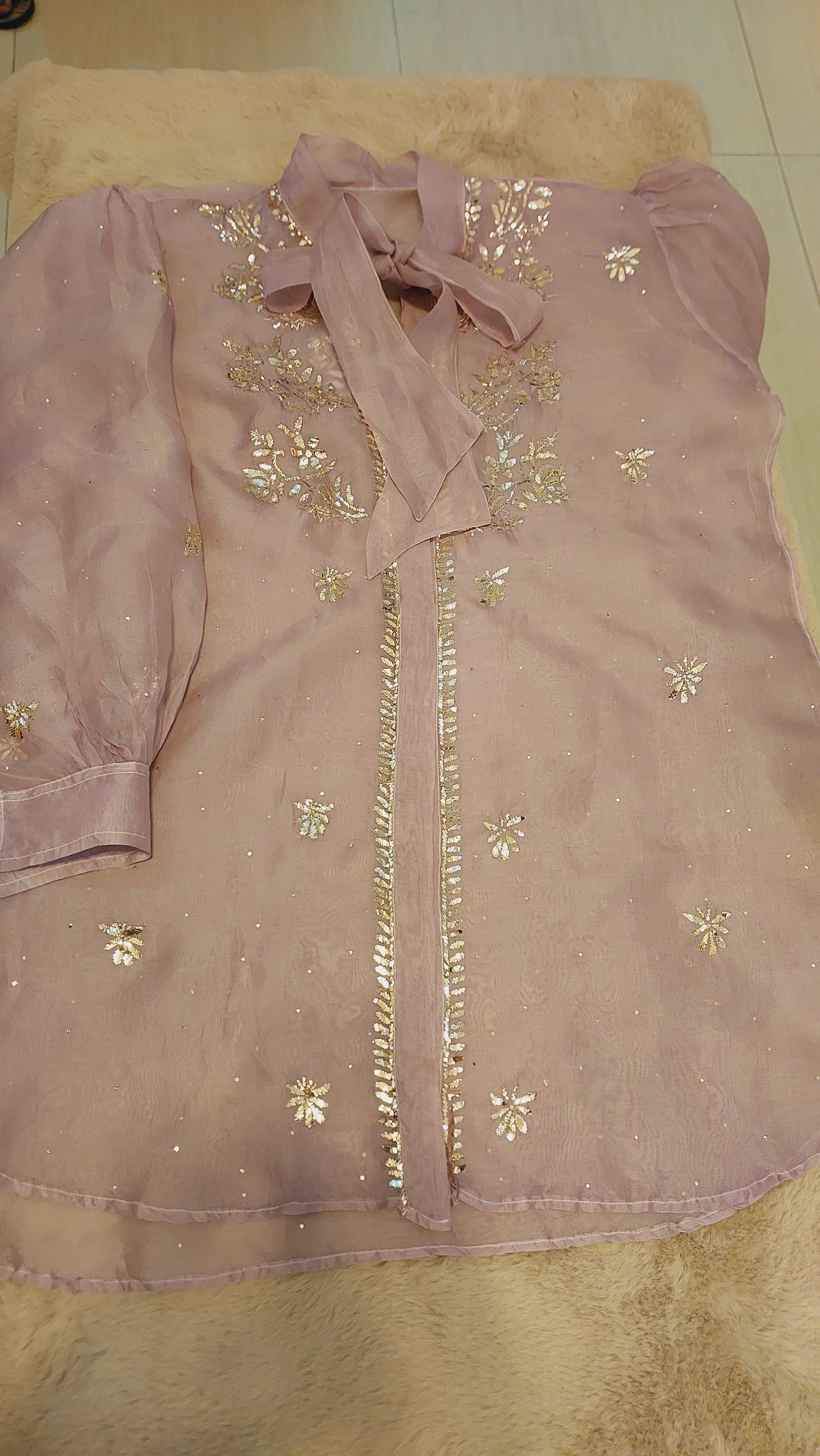 Pure Organza Shirt