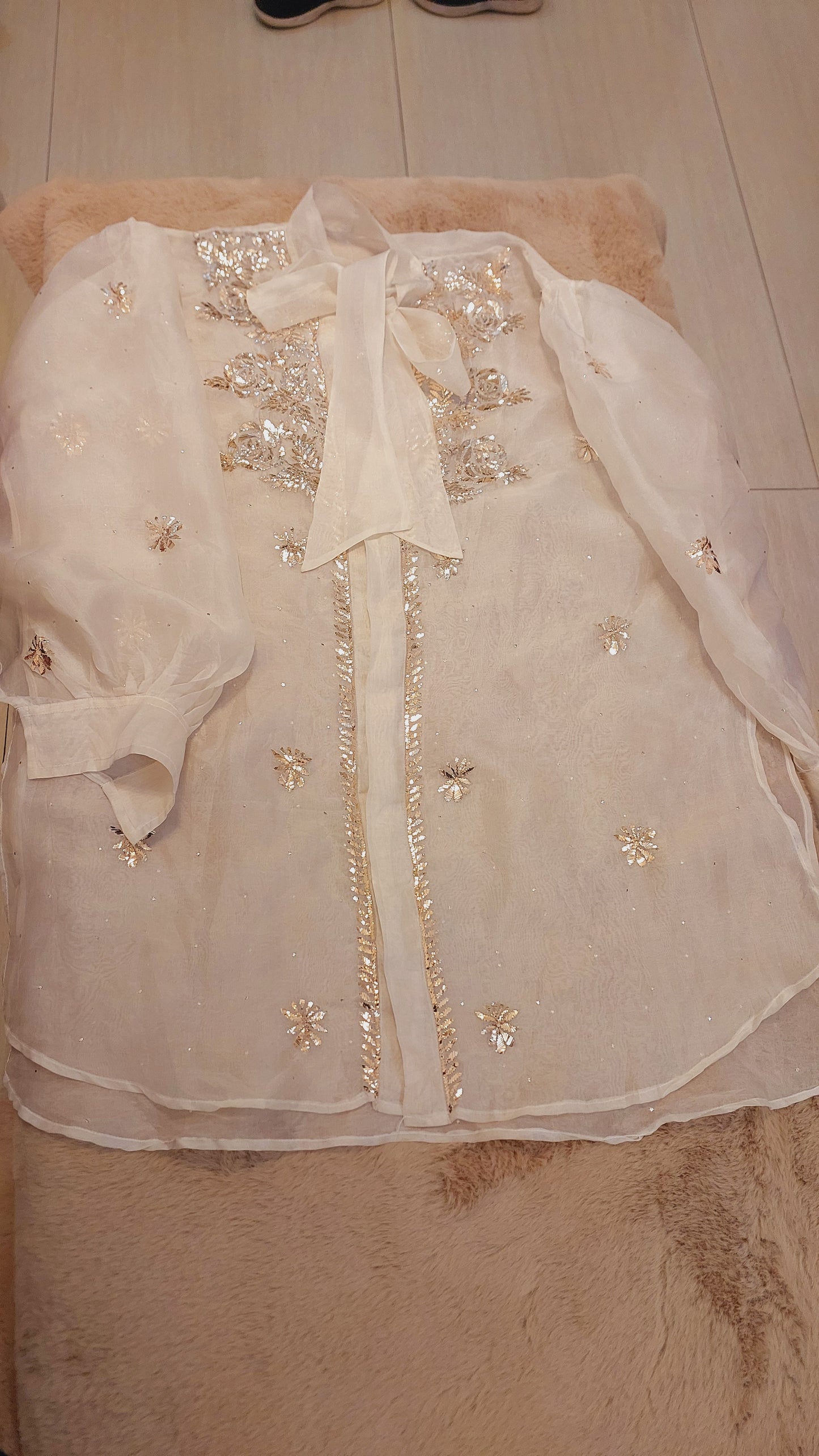 Pure Organza Shirt