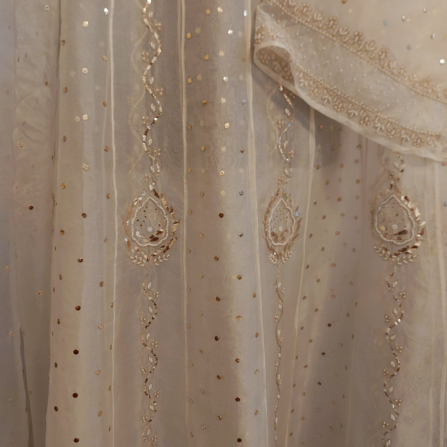 Kali - Pure Organza Anarkali (New)