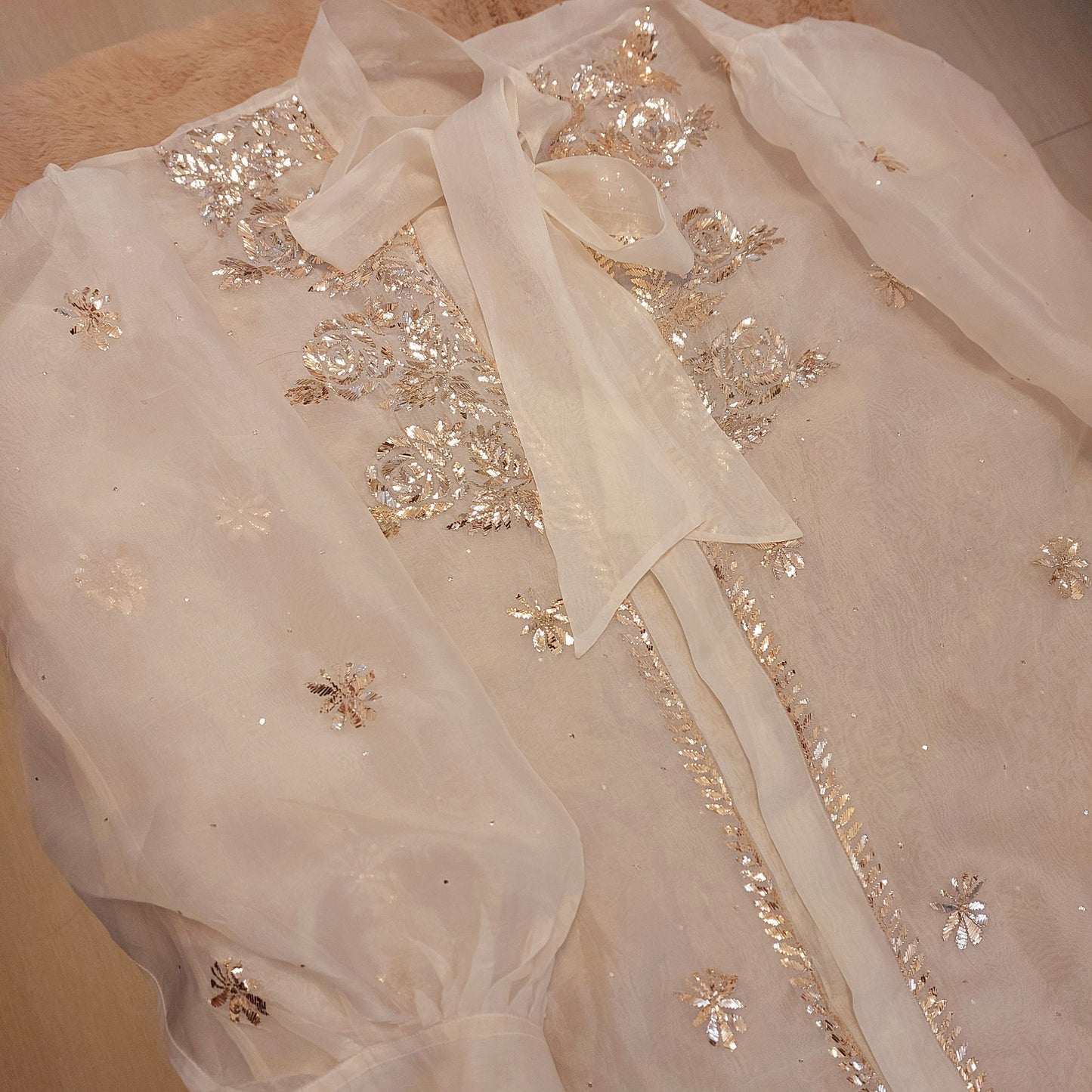 Pure Organza Shirt